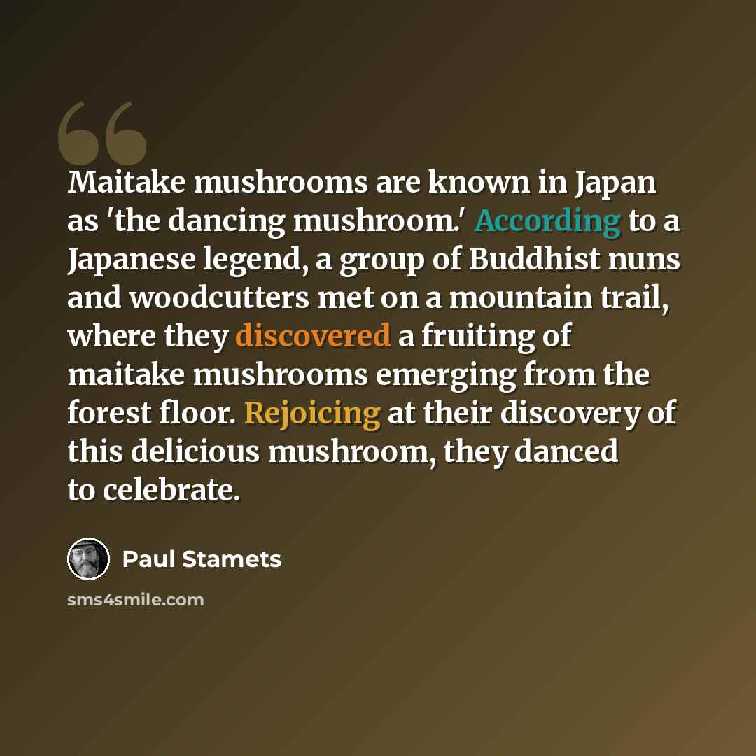 “Maitake mushrooms are known in Japan as 'the dancing mushroom.' According to a Japanese legend, a group of Buddhist nuns and woodcutters met on a mountain trail, where they discovered a fruiting of maitake mushrooms emerging from the forest floor. Rejoicing at their discovery of this delicious…” quote by Paul Stamets