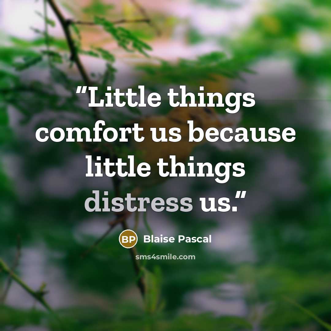 “Little things comfort us because little things distress us.” quote by Blaise Pascal