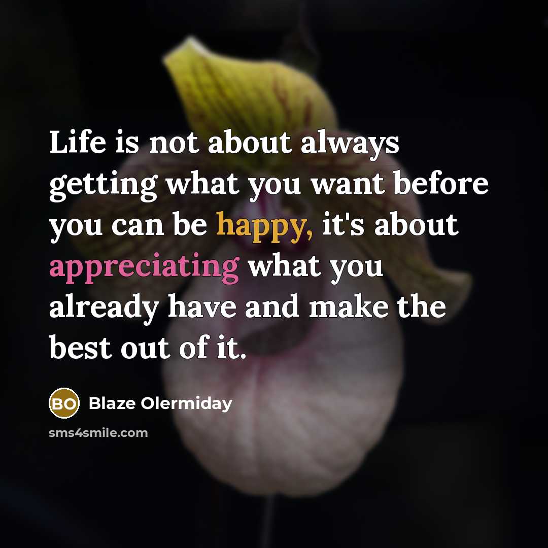“Life is not about always getting what you want before you can be happy, it's about appreciating what you already have and make the best out of it.” quote by Blaze Olermiday