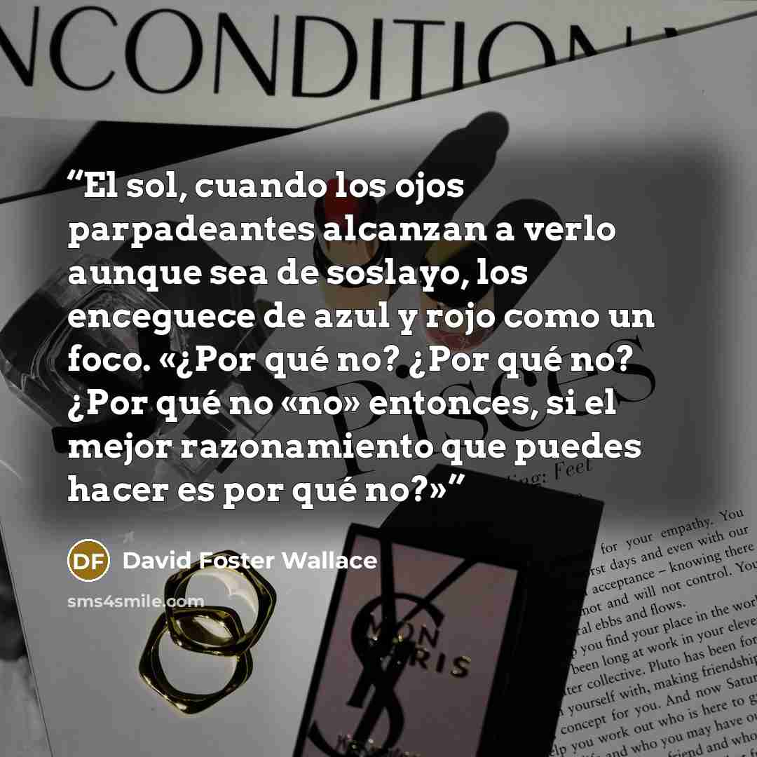 “El sol, cuando los ojos parpadeantes alcanzan a verlo aunque sea de soslayo, los enceguece de azul y rojo como un foco. «¿Por qué no? ¿Por qué no? ¿Por qué no «no» entonces, si el mejor razonamiento que puedes hacer es por qué no?»” quote by David Foster Wallace