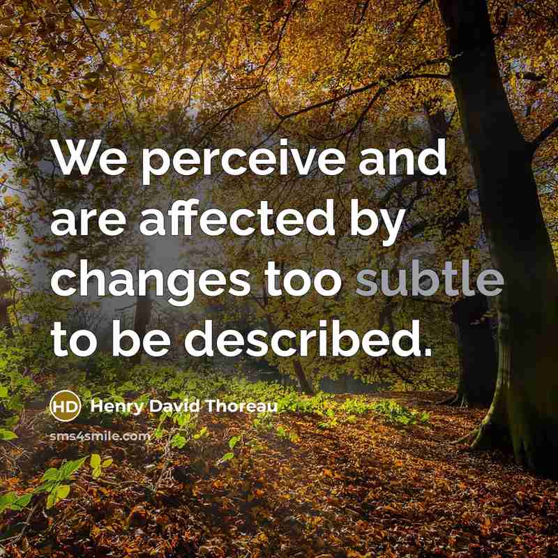“We perceive and are affected by changes too subtle to be described.” quote by Henry David Thoreau