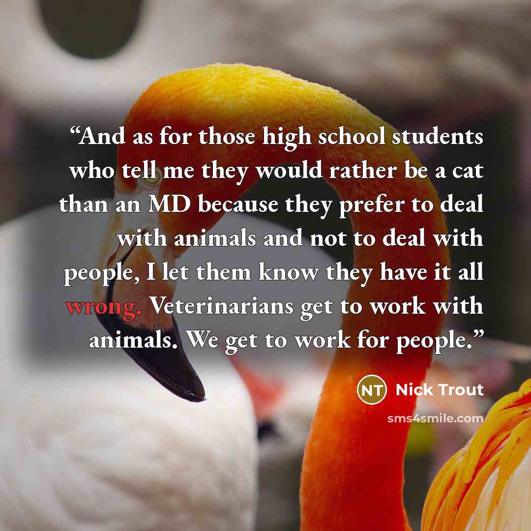 “And as for those high school students who tell me they would rather be a cat than an MD because they prefer to deal with animals and not to deal with people, I let them know they have it all wrong. Veterinarians get to work with animals. We get to work for people.” quote by Nick Trout