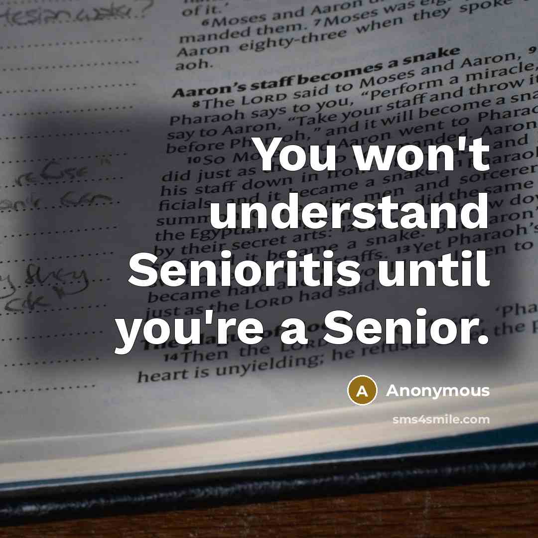 “You won't understand Senioritis until you're a Senior.” quote by Anonymous