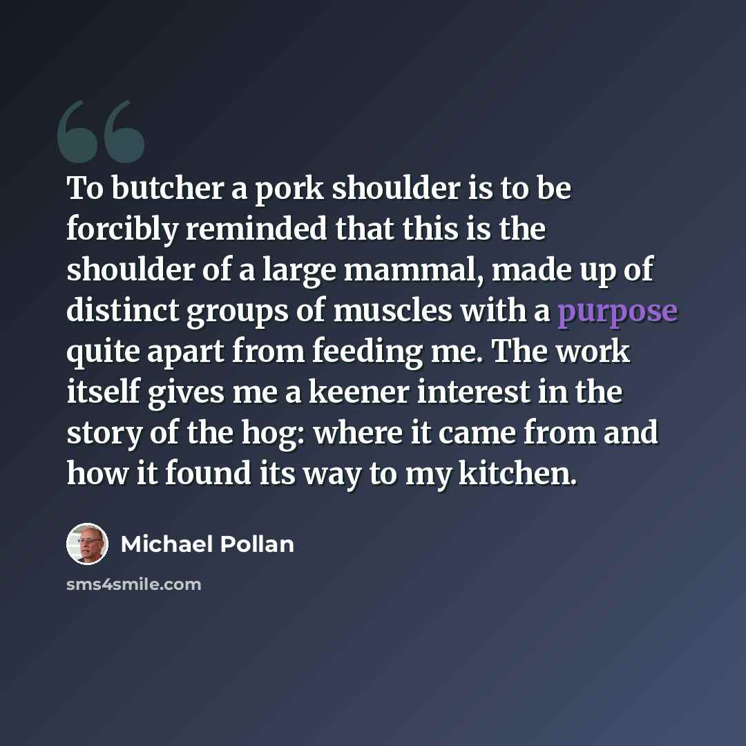 “To butcher a pork shoulder is to be forcibly reminded that this is the shoulder of a large mammal, made up of distinct groups of muscles with a purpose quite apart from feeding me. The work itself gives me a keener interest in the story of the hog: where it came from and how it found its way to my…” quote by Michael Pollan