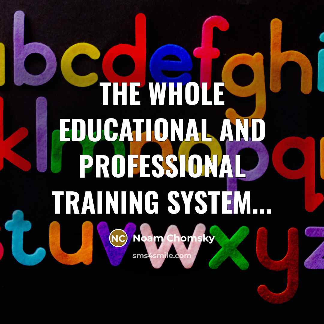 “The whole educational and professional training system...” quote by Noam Chomsky