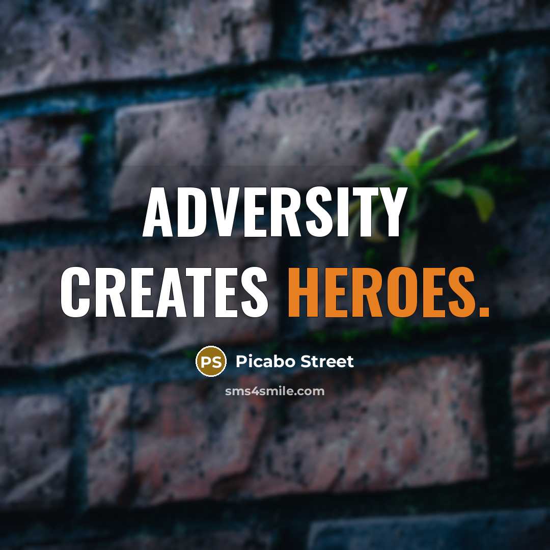 “Adversity creates heroes.” quote by Picabo Street