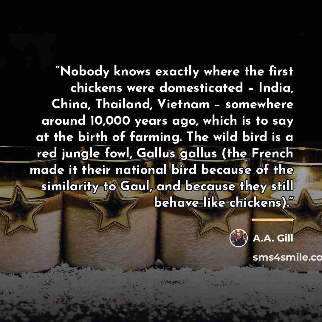 “Nobody knows exactly where the first chickens were domesticated – India, China, Thailand, Vietnam – somewhere around 10,000 years ago, which is to say at the birth of farming. The wild bird is a red jungle fowl, Gallus gallus (the French made it their national bird because of the similarity to…” quote by A.A. Gill