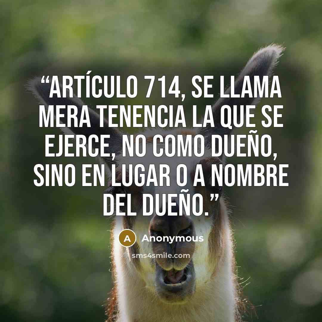 “artículo 714, se llama mera tenencia la que se ejerce, no como dueño, sino en lugar o a nombre del dueño.” quote by Anonymous