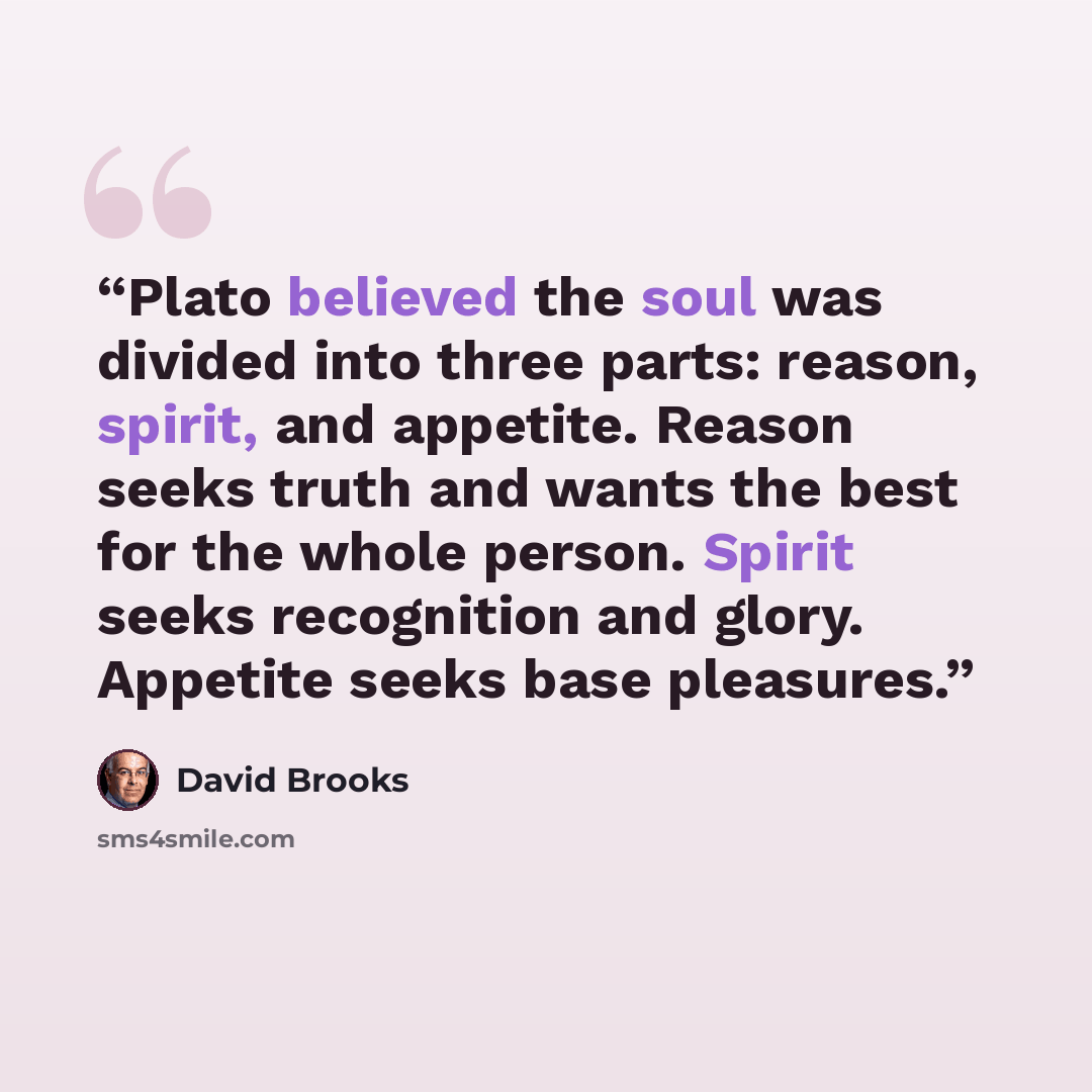 “Plato believed the soul was divided into three parts: reason, spirit, and appetite. Reason seeks truth and wants the best for the whole person. Spirit seeks recognition and glory. Appetite seeks base pleasures.” quote by David Brooks