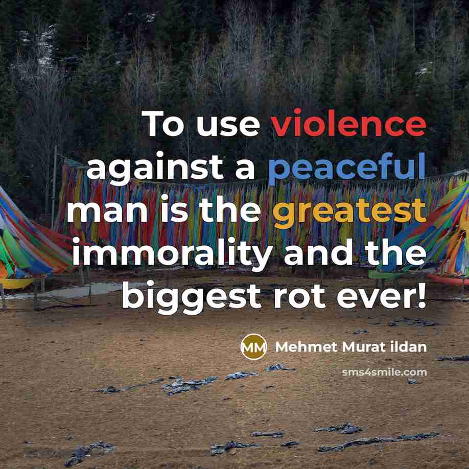 “To use violence against a peaceful man is the greatest immorality and the biggest rot ever!” quote by Mehmet Murat Ildan