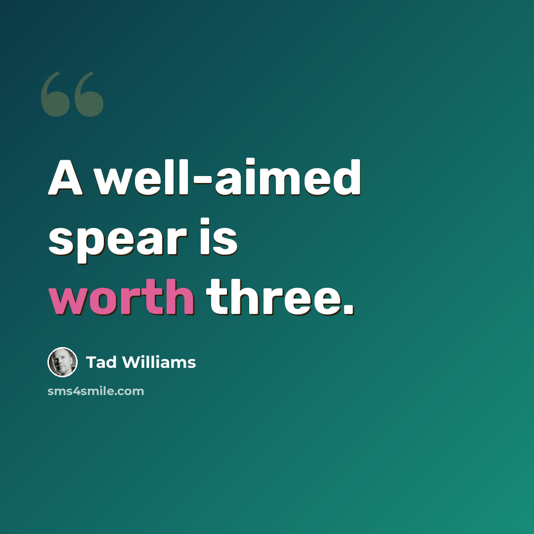 “A well-aimed spear is worth three.” quote by Tad Williams
