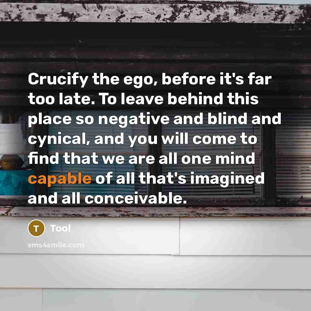 “Crucify the ego, before it's far too late. To leave behind this place so negative and blind and cynical, and you will come to find that we are all one mind capable of all that's imagined and all conceivable.” quote by Tool