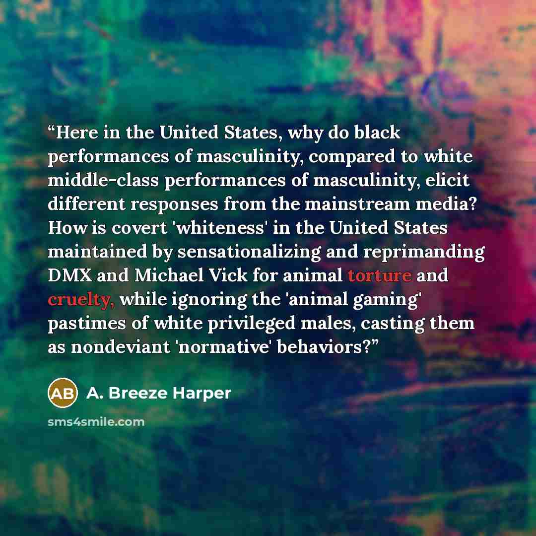“Here in the United States, why do black performances of masculinity, compared to white middle-class performances of masculinity, elicit different responses from the mainstream media? How is covert 'whiteness' in the United States maintained by sensationalizing and reprimanding DMX and Michael Vick…” quote by A. Breeze Harper
