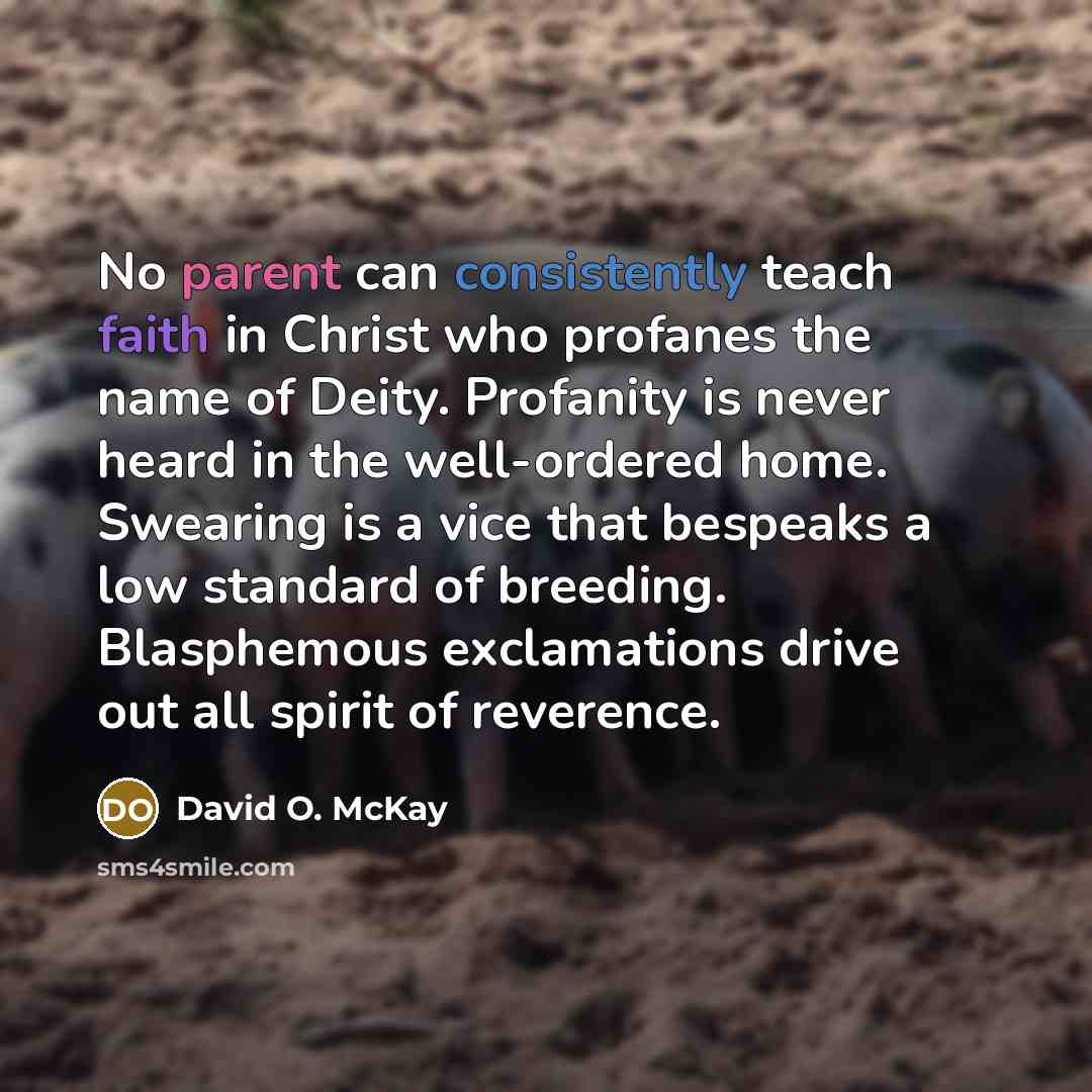“No parent can consistently teach faith in Christ who profanes the name of Deity. Profanity is never heard in the well-ordered home. Swearing is a vice that bespeaks a low standard of breeding. Blasphemous exclamations drive out all spirit of reverence.” quote by David O. McKay