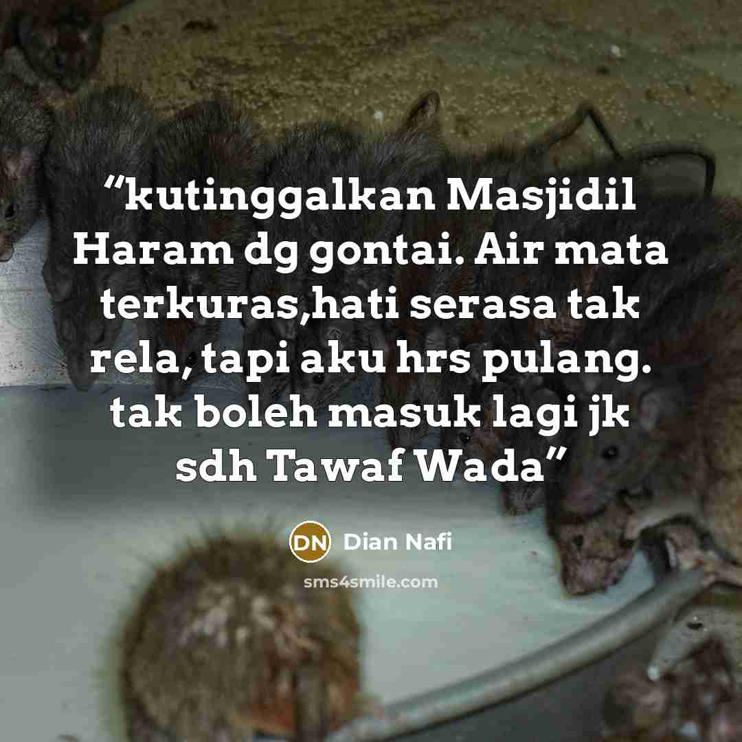 “kutinggalkan Masjidil Haram dg gontai. Air mata terkuras,hati serasa tak rela, tapi aku hrs pulang. tak boleh masuk lagi jk sdh Tawaf Wada” quote by Dian Nafi