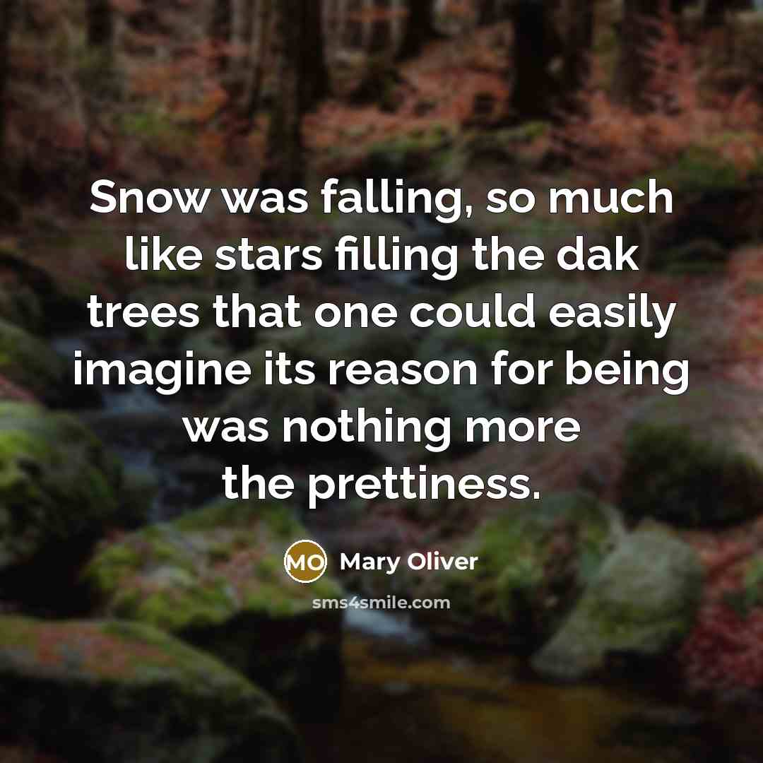 “Snow was falling, so much like stars filling the dak trees that one could easily imagine its reason for being was nothing more the prettiness.” quote by Mary Oliver