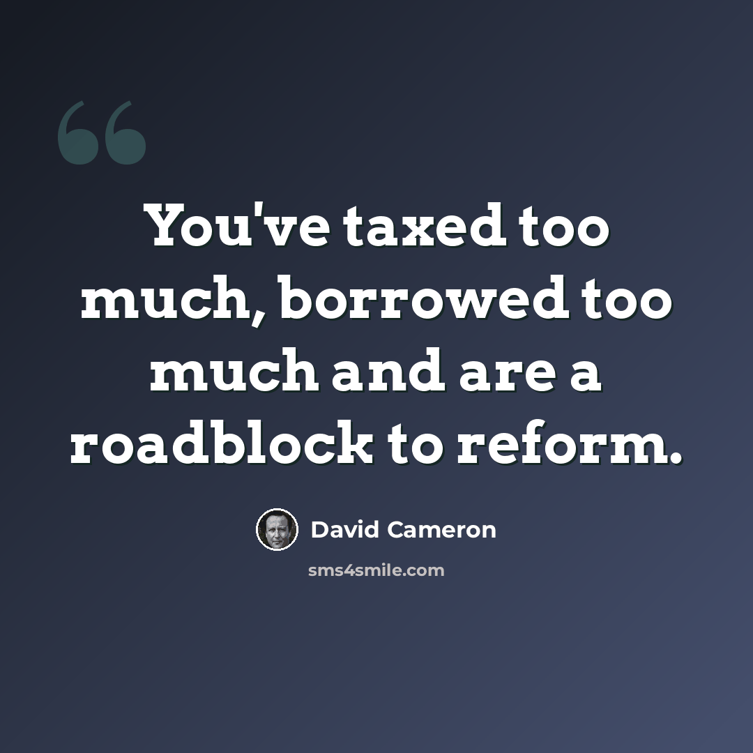 “You've taxed too much, borrowed too much and are a roadblock to reform.” quote by David Cameron