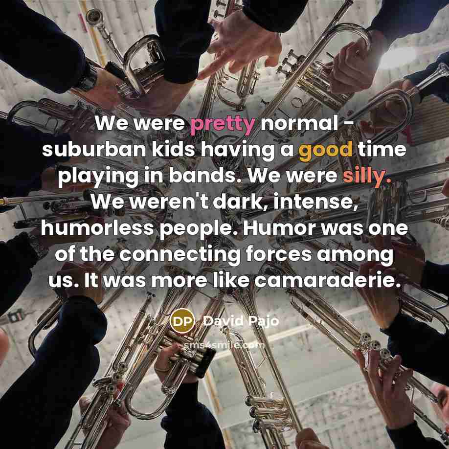 “We were pretty normal - suburban kids having a good time playing in bands. We were silly. We weren't dark, intense, humorless people. Humor was one of the connecting forces among us. It was more like camaraderie.” quote by David Pajo