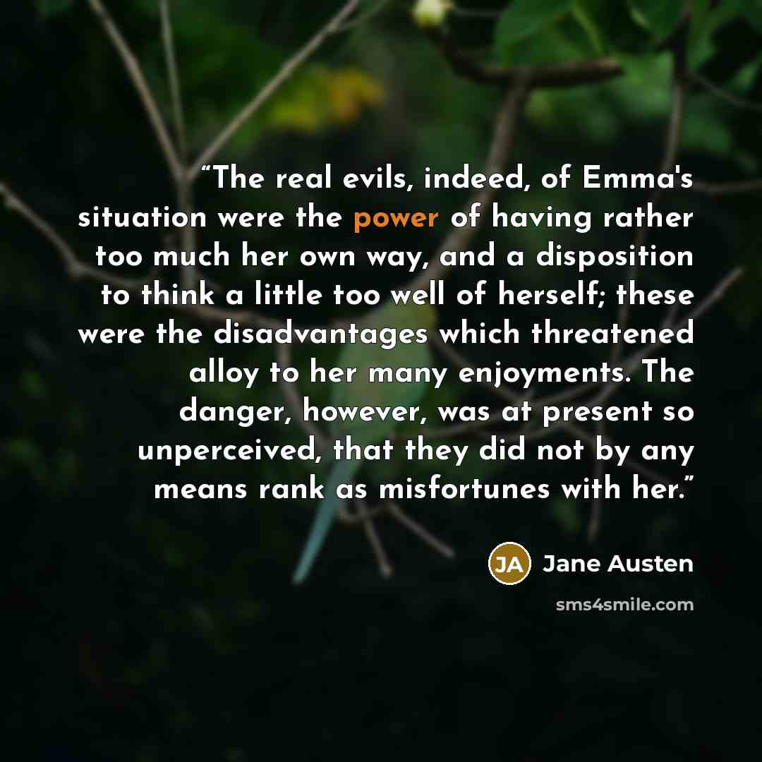 “The real evils, indeed, of Emma's situation were the power of having rather too much her own way, and a disposition to think a little too well of herself; these were the disadvantages which threatened alloy to her many enjoyments. The danger, however, was at present so unperceived, that they did…” quote by Jane Austen