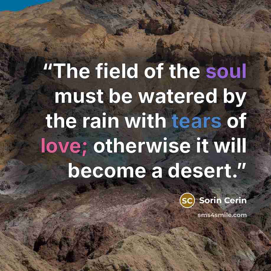 “The field of the soul must be watered by the rain with tears of love; otherwise it will become a desert.” quote by Sorin Cerin