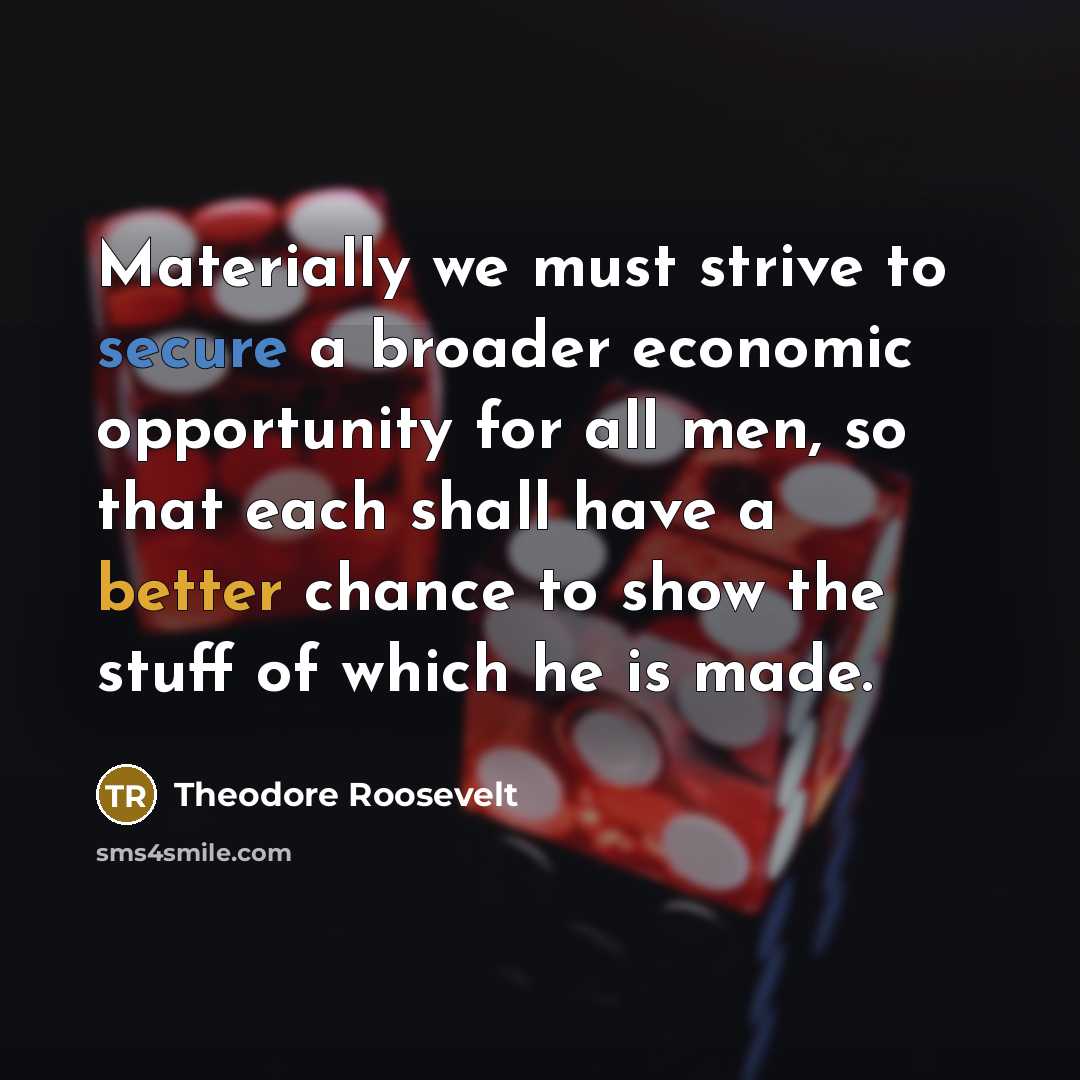 “Materially we must strive to secure a broader economic opportunity for all men, so that each shall have a better chance to show the stuff of which he is made.” quote by Theodore Roosevelt