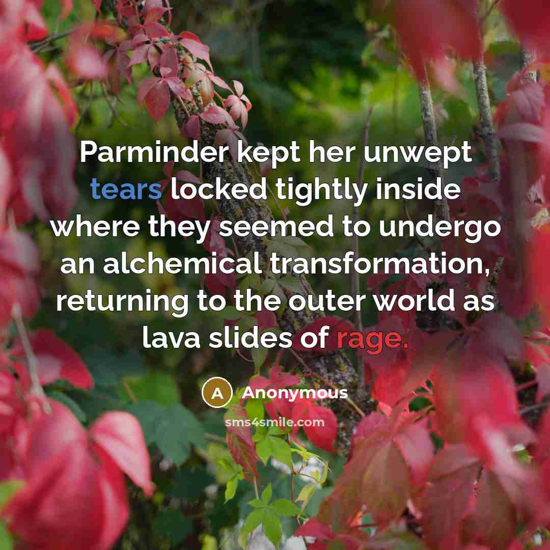 “Parminder kept her unwept tears locked tightly inside where they seemed to undergo an alchemical transformation, returning to the outer world as lava slides of rage.” quote by Anonymous