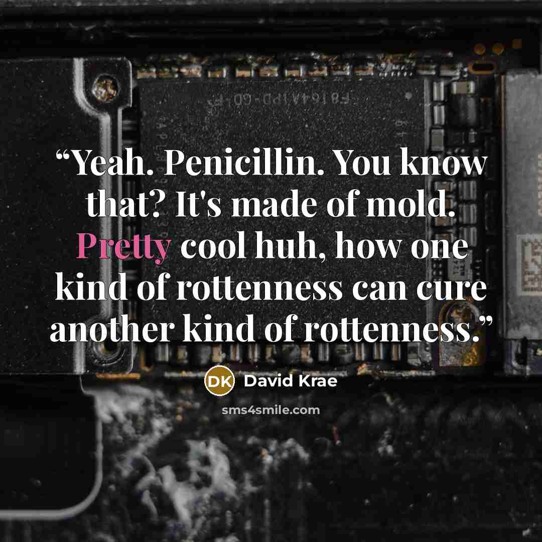 “Yeah. Penicillin. You know that? It's made of mold. Pretty cool huh, how one kind of rottenness can cure another kind of rottenness.” quote by David Krae