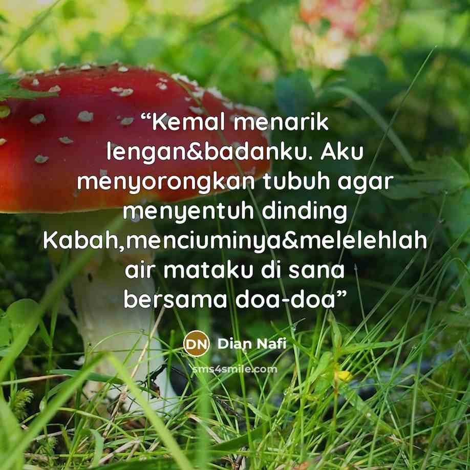 “Kemal menarik lengan&badanku. Aku menyorongkan tubuh agar menyentuh dinding Kabah,menciuminya&melelehlah air mataku di sana bersama doa-doa” quote by Dian Nafi
