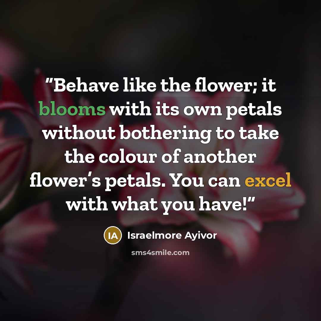 “Behave like the flower; it blooms with its own petals without bothering to take the colour of another flower’s petals. You can excel with what you have!” quote by Israelmore Ayivor