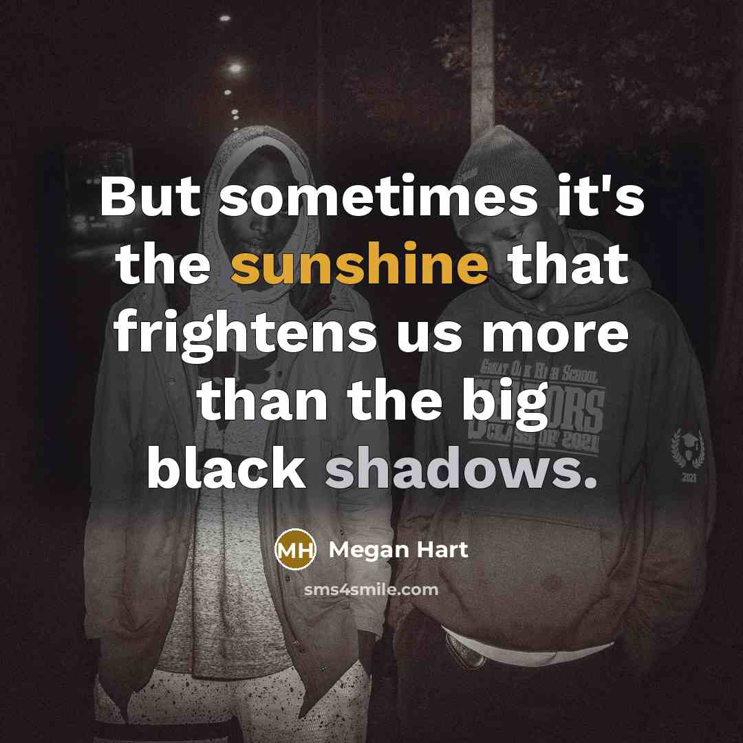 “But sometimes it's the sunshine that frightens us more than the big black shadows.” quote by Megan Hart