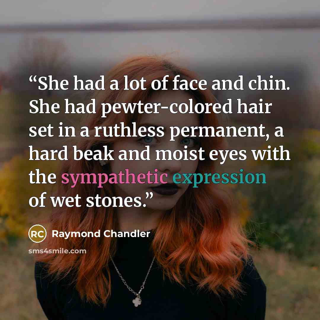 “She had a lot of face and chin. She had pewter-colored hair set in a ruthless permanent, a hard beak and moist eyes with the sympathetic expression of wet stones.” quote by Raymond Chandler