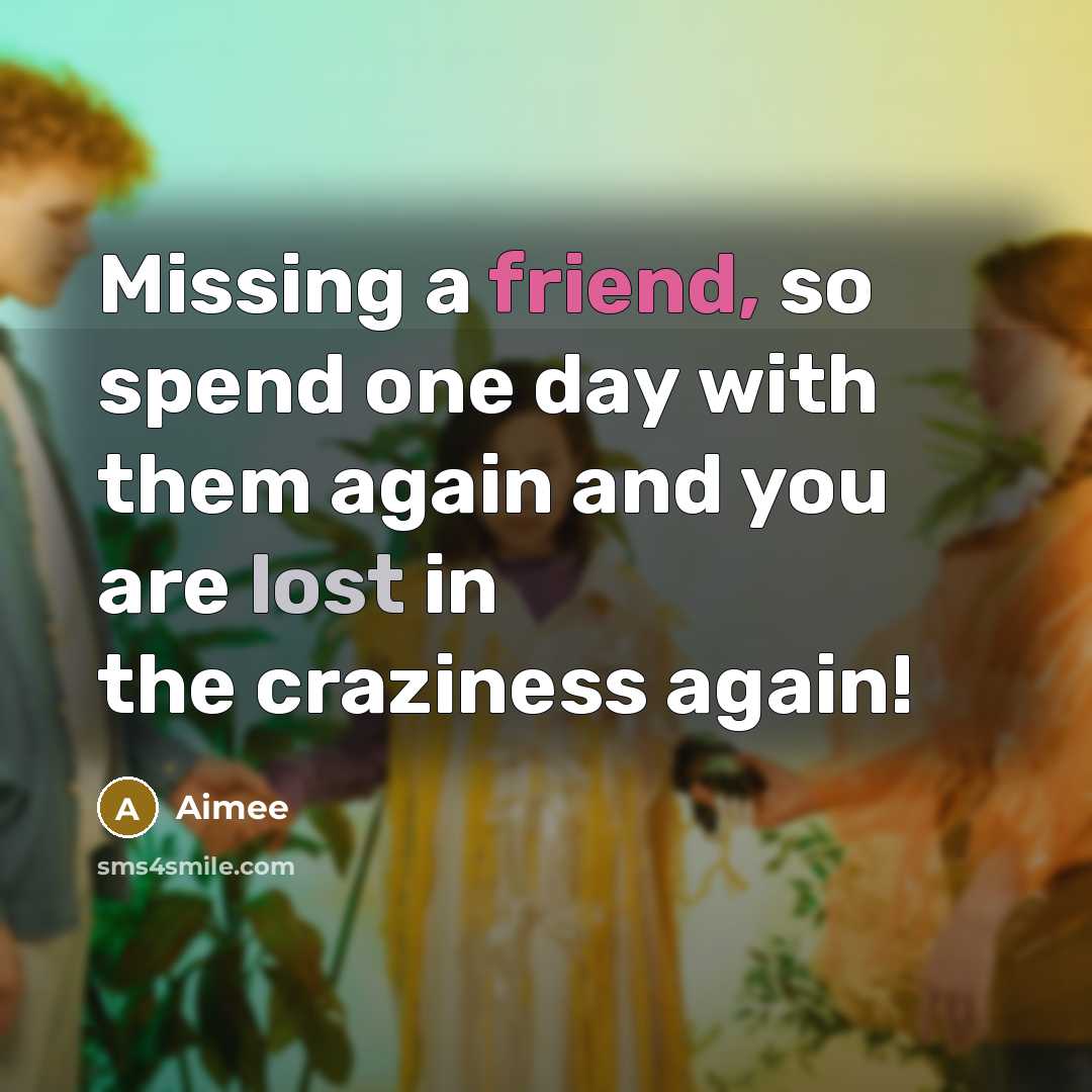 “Missing a friend, so spend one day with them again and you are lost in the craziness again!” quote by Aimee