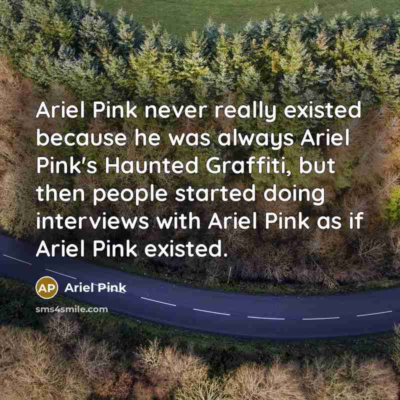 “Ariel Pink never really existed because he was always Ariel Pink's Haunted Graffiti, but then people started doing interviews with Ariel Pink as if Ariel Pink existed.” quote by Ariel Pink