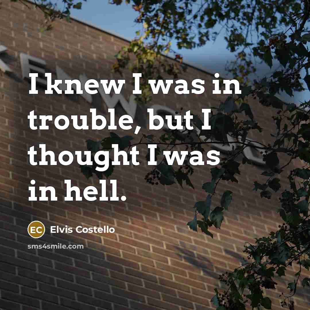 “I knew I was in trouble, but I thought I was in hell.” quote by Elvis Costello