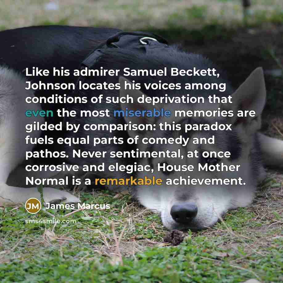 “Like his admirer Samuel Beckett, Johnson locates his voices among conditions of such deprivation that even the most miserable memories are gilded by comparison: this paradox fuels equal parts of comedy and pathos. Never sentimental, at once corrosive and elegiac, House Mother Normal is a…” quote by James Marcus