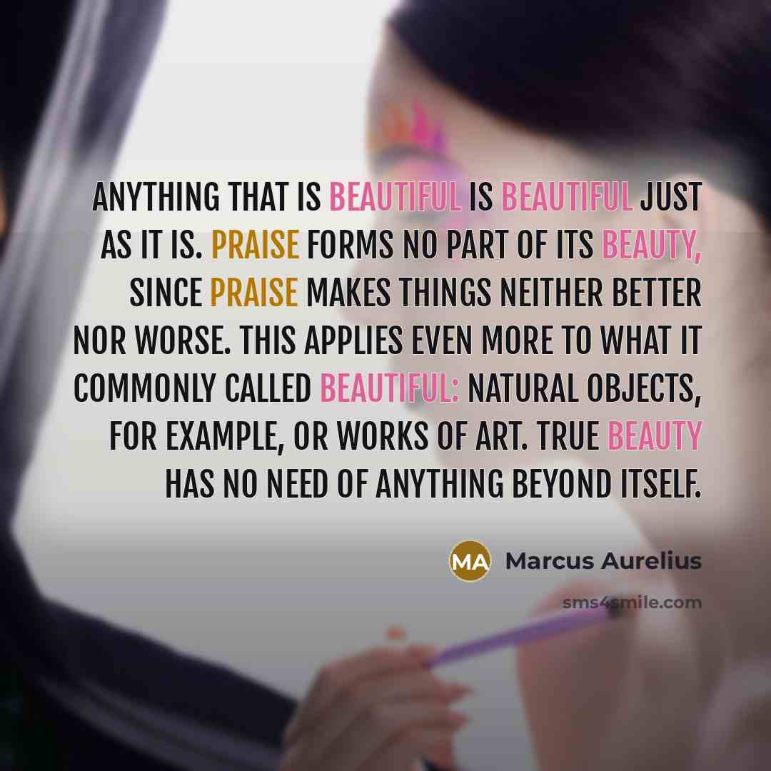 “Anything that is beautiful is beautiful just as it is. Praise forms no part of its beauty, since praise makes things neither better nor worse. This applies even more to what it commonly called beautiful: natural objects, for example, or works of art. True beauty has no need of anything beyond…” quote by Marcus Aurelius