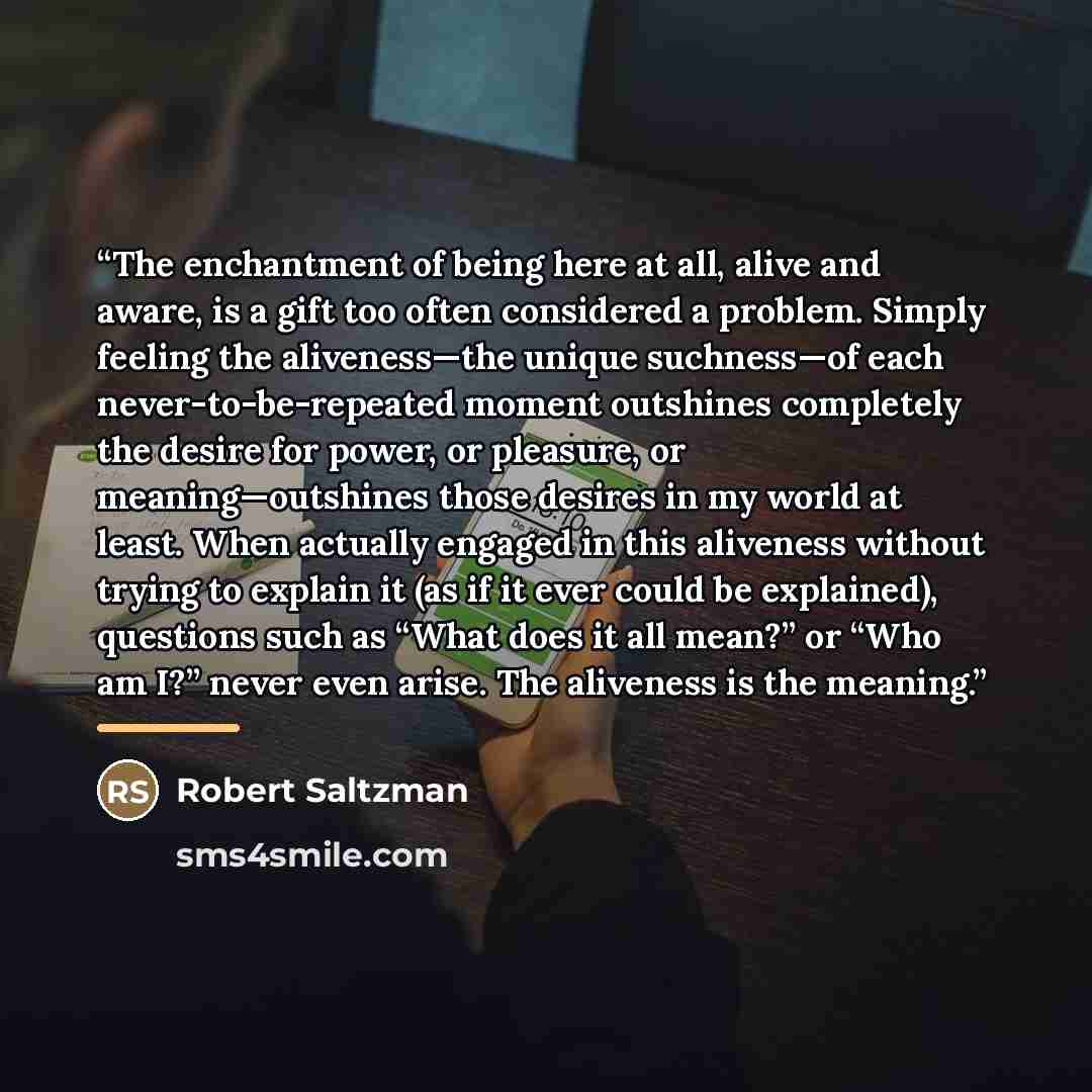 “The enchantment of being here at all, alive and aware, is a gift too often considered a problem. Simply feeling the aliveness—the unique suchness—of each never-to-be-repeated moment outshines completely the desire for power, or pleasure, or meaning—outshines those desires in my world at least…” quote by Robert Saltzman