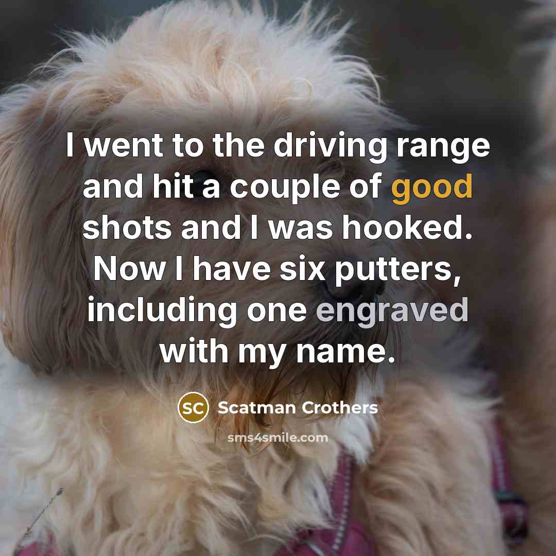 “I went to the driving range and hit a couple of good shots and I was hooked. Now I have six putters, including one engraved with my name.” quote by Scatman Crothers