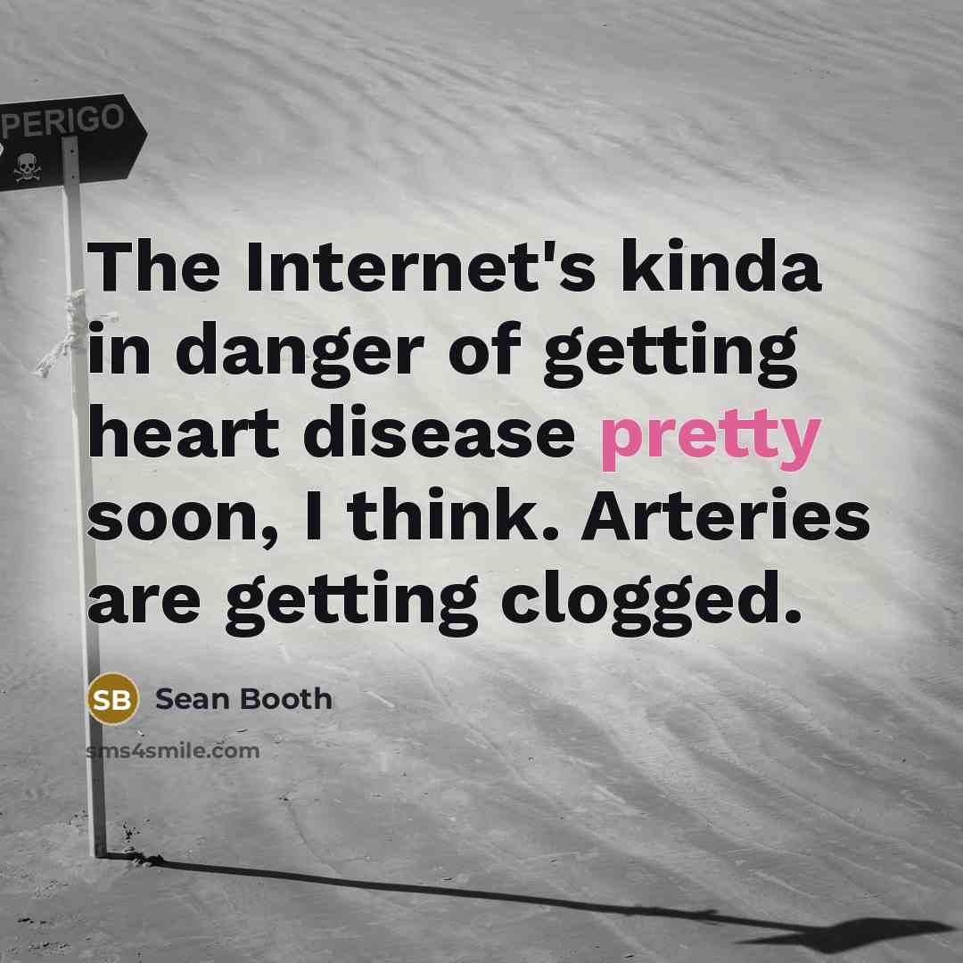 “The Internet's kinda in danger of getting heart disease pretty soon, I think. Arteries are getting clogged.” quote by Sean Booth