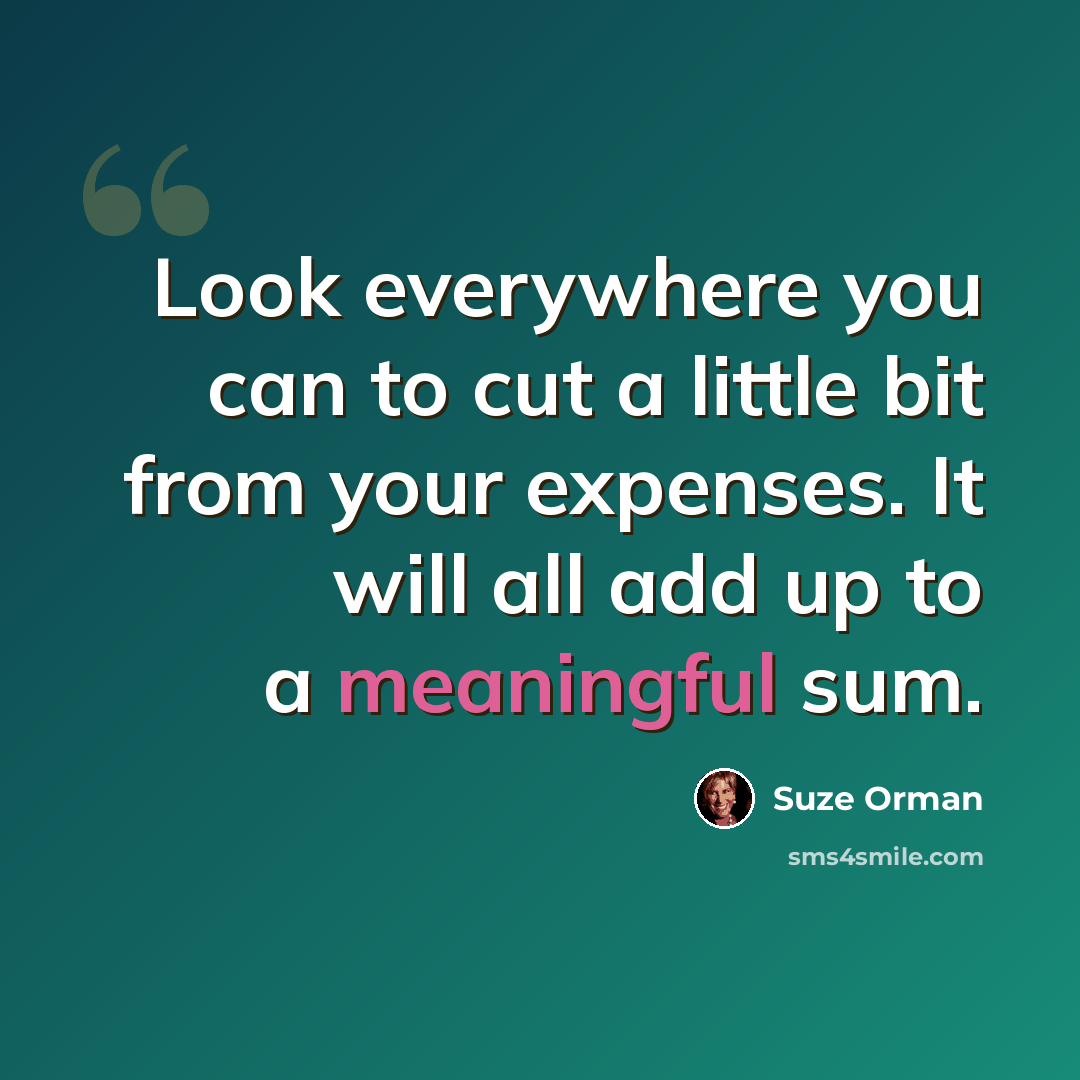 “Look everywhere you can to cut a little bit from your expenses. It will all add up to a meaningful sum.” quote by Suze Orman