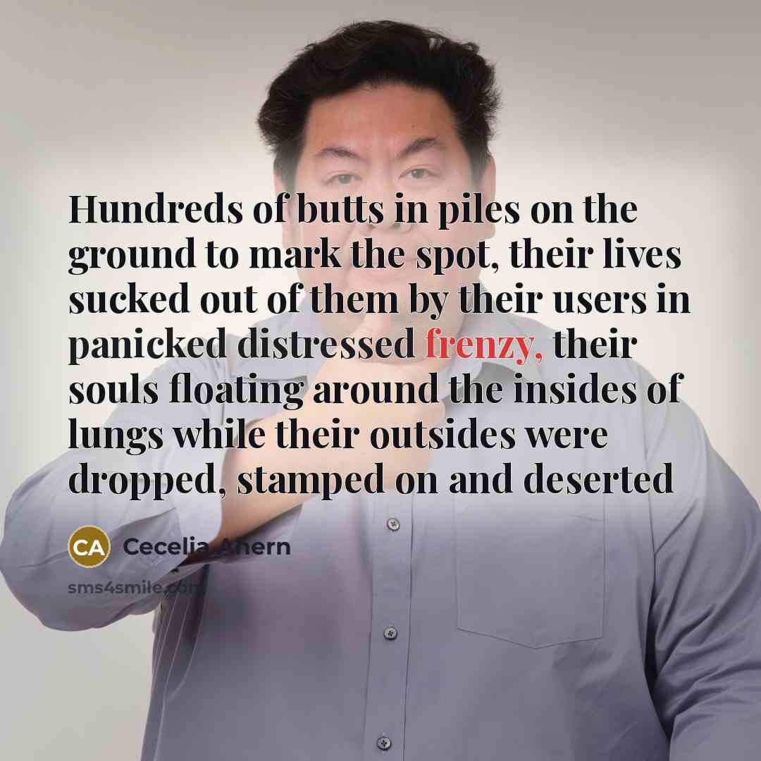 “Hundreds of butts in piles on the ground to mark the spot, their lives sucked out of them by their users in panicked distressed frenzy, their souls floating around the insides of lungs while their outsides were dropped, stamped on and deserted” quote by Cecelia Ahern