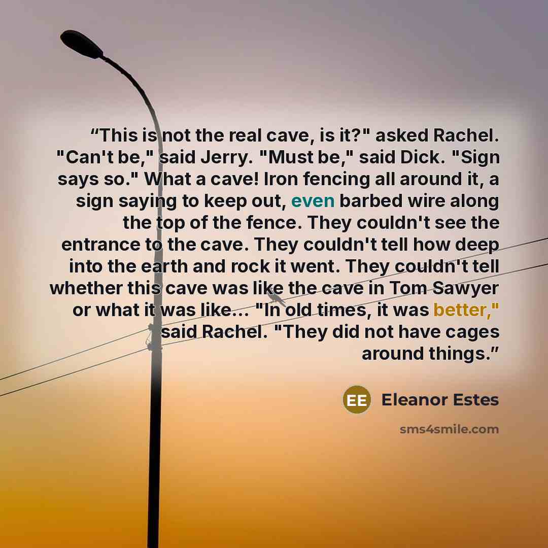 “This is not the real cave, is it?" asked Rachel. "Can't be," said Jerry. "Must be," said Dick. "Sign says so." What a cave! Iron fencing all around it, a sign saying to keep out, even barbed wire along the top of the fence. They couldn't see the entrance to the cave. They couldn't tell how deep…” quote by Eleanor Estes