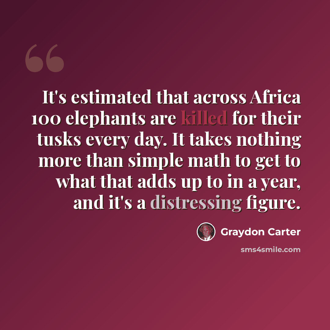 “It's estimated that across Africa 100 elephants are killed for their tusks every day. It takes nothing more than simple math to get to what that adds up to in a year, and it's a distressing figure.” quote by Graydon Carter