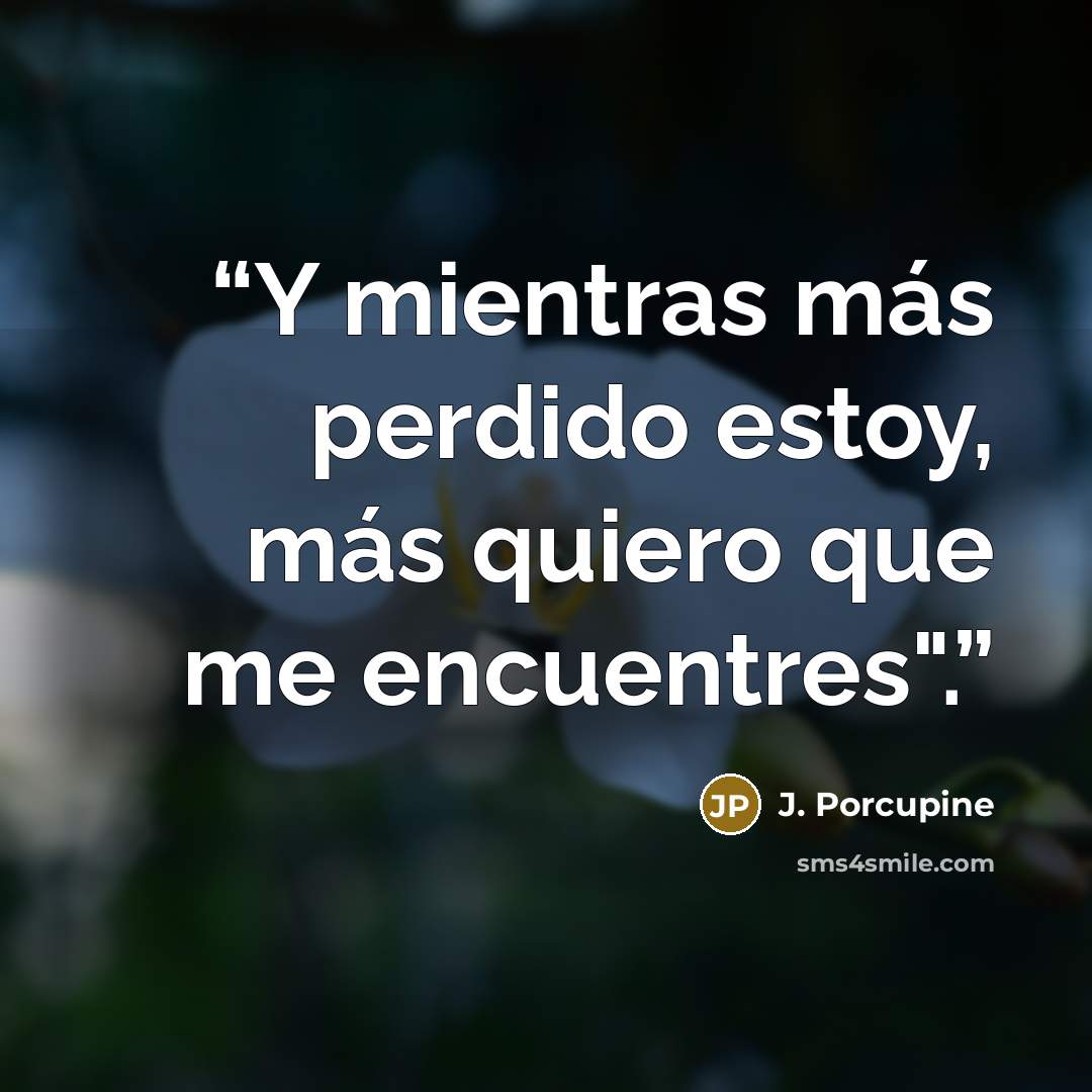 “Y mientras más perdido estoy, más quiero que me encuentres".” quote by J. Porcupine