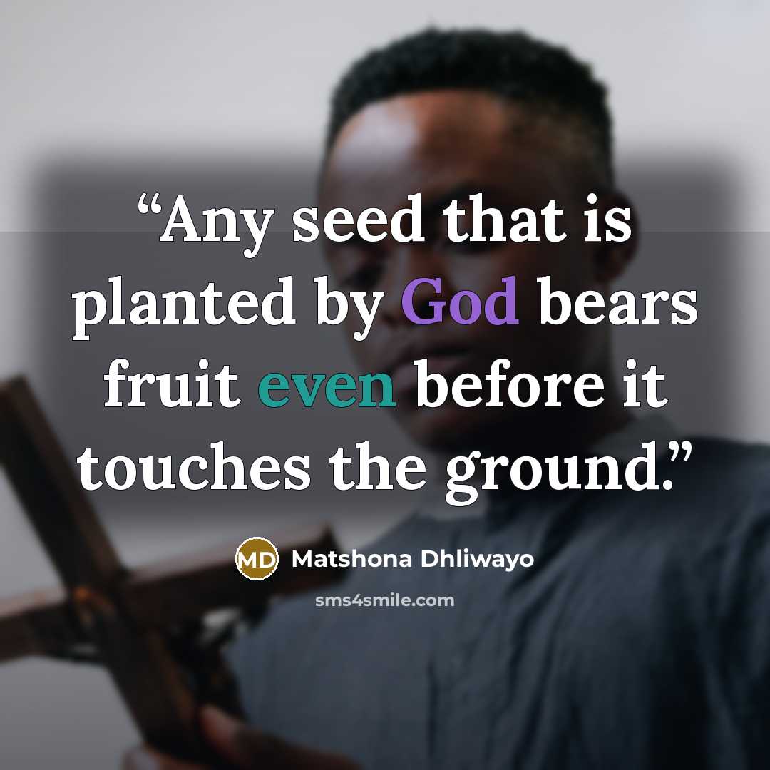“Any seed that is planted by God bears fruit even before it touches the ground.” quote by Matshona Dhliwayo