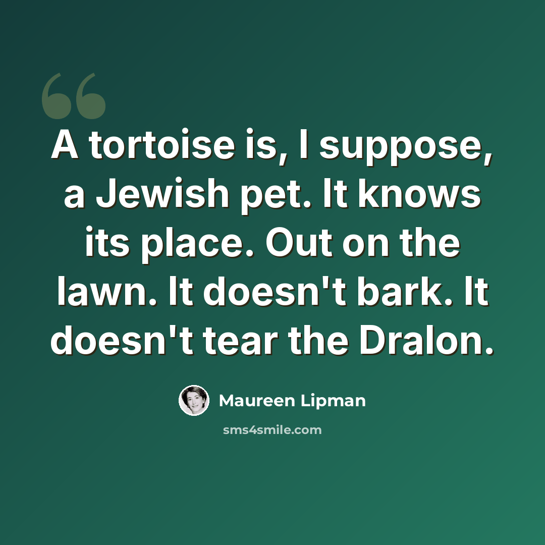 “A tortoise is, I suppose, a Jewish pet. It knows its place. Out on the lawn. It doesn't bark. It doesn't tear the Dralon.” quote by Maureen Lipman