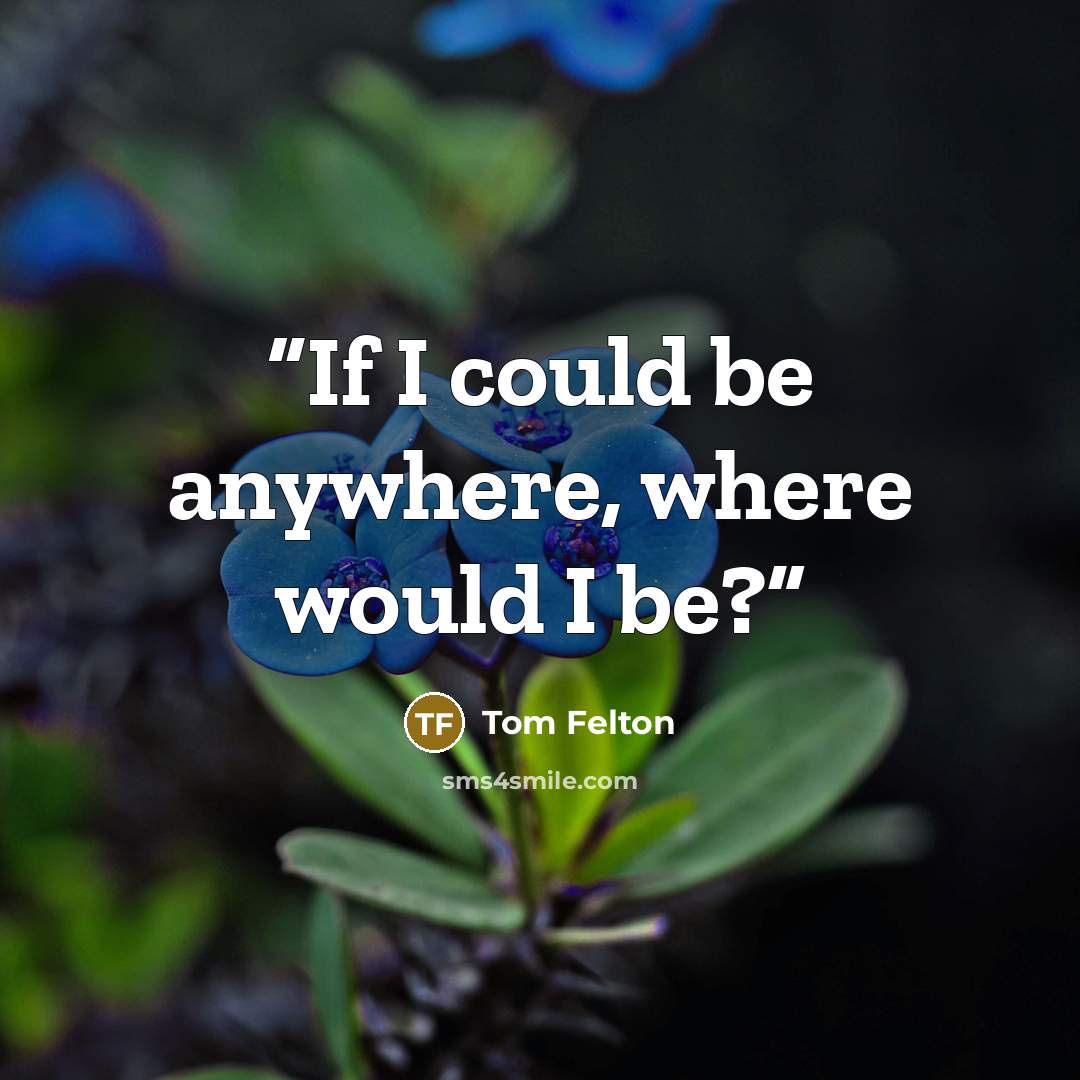 “If I could be anywhere, where would I be?” quote by Tom Felton