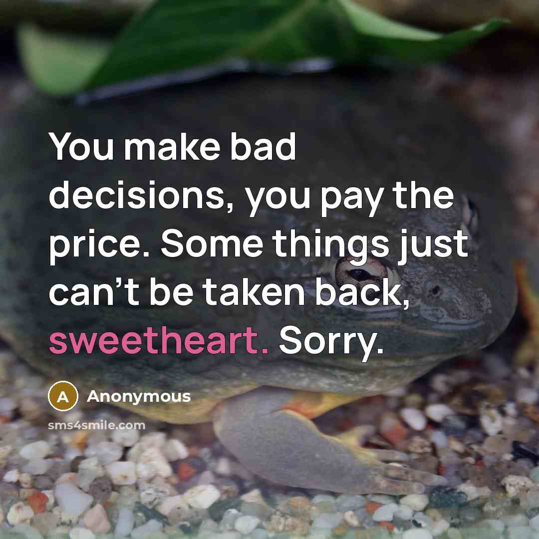 “You make bad decisions, you pay the price. Some things just can't be taken back, sweetheart. Sorry.” quote by Anonymous
