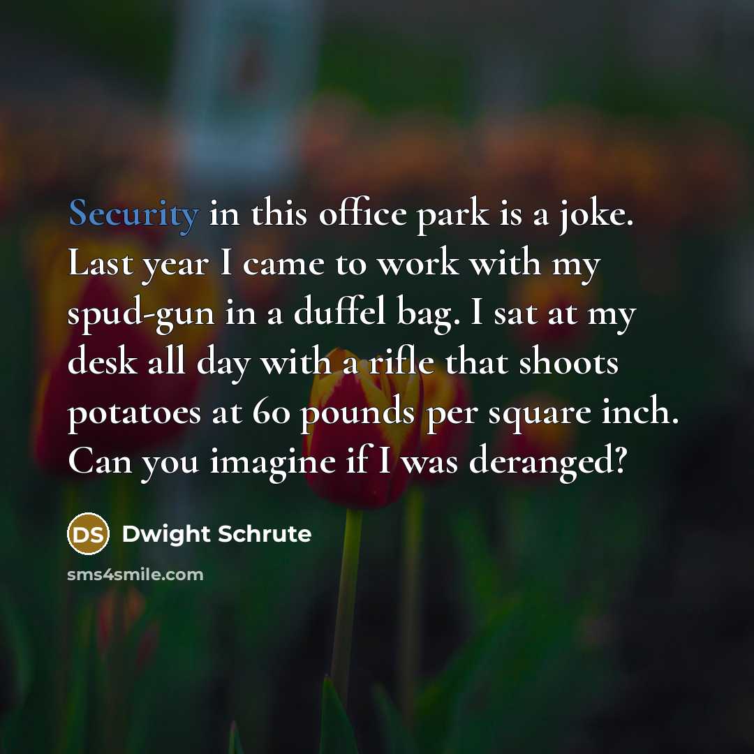 “Security in this office park is a joke. Last year I came to work with my spud-gun in a duffel bag. I sat at my desk all day with a rifle that shoots potatoes at 60 pounds per square inch. Can you imagine if I was deranged?” quote by Dwight Schrute