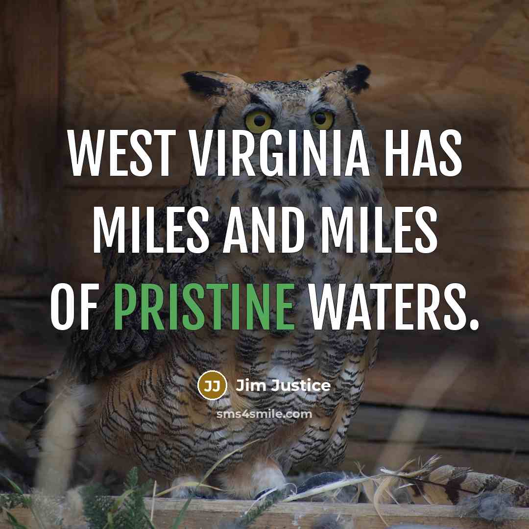 “West Virginia has miles and miles of pristine waters.” quote by Jim Justice